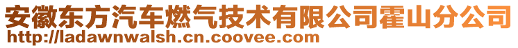 安徽東方汽車燃?xì)饧夹g(shù)有限公司霍山分公司