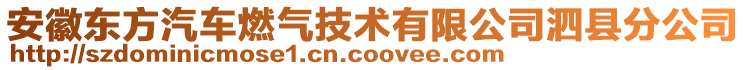 安徽東方汽車(chē)燃?xì)饧夹g(shù)有限公司泗縣分公司