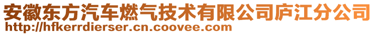 安徽東方汽車燃氣技術(shù)有限公司廬江分公司