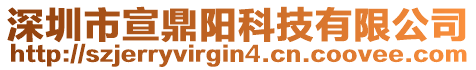 深圳市宣鼎陽科技有限公司