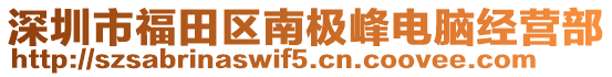 深圳市福田區(qū)南極峰電腦經(jīng)營(yíng)部