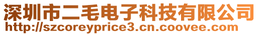 深圳市二毛電子科技有限公司