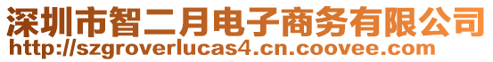 深圳市智二月電子商務(wù)有限公司