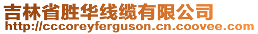 吉林省勝華線纜有限公司