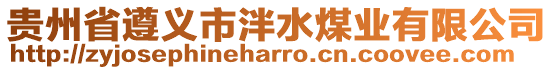 貴州省遵義市泮水煤業(yè)有限公司