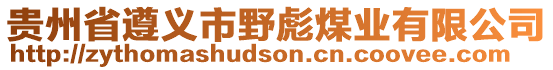 贵州省遵义市野彪煤业有限公司