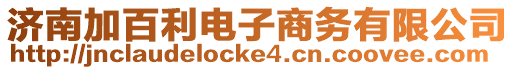 濟南加百利電子商務有限公司