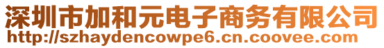 深圳市加和元電子商務(wù)有限公司