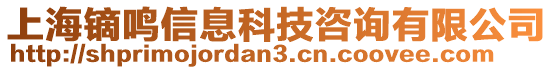 上海鏑鳴信息科技咨詢有限公司