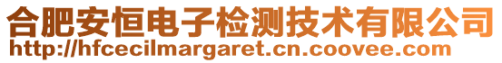 合肥安恒電子檢測(cè)技術(shù)有限公司