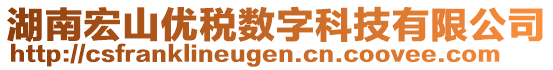 湖南宏山優(yōu)稅數(shù)字科技有限公司