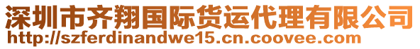 深圳市齊翔國際貨運(yùn)代理有限公司