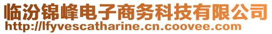 临汾锦峰电子商务科技有限公司