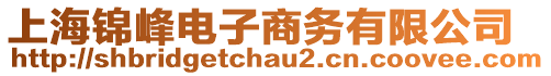 上海錦峰電子商務(wù)有限公司