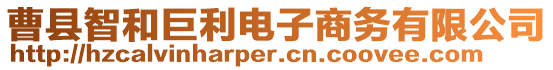 曹縣智和巨利電子商務(wù)有限公司