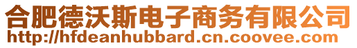 合肥德沃斯電子商務(wù)有限公司