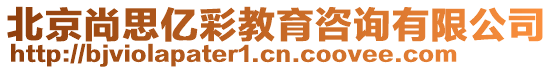 北京尚思億彩教育咨詢有限公司