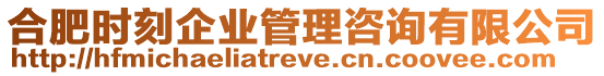 合肥時(shí)刻企業(yè)管理咨詢(xún)有限公司