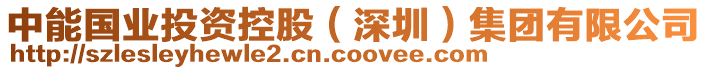 中能?chē)?guó)業(yè)投資控股（深圳）集團(tuán)有限公司