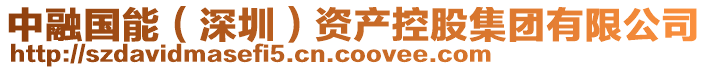 中融國(guó)能（深圳）資產(chǎn)控股集團(tuán)有限公司