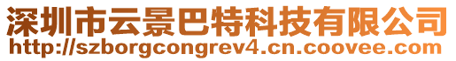 深圳市云景巴特科技有限公司