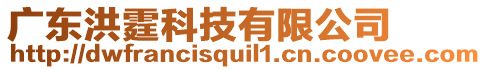 廣東洪霆科技有限公司