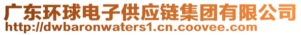 廣東環(huán)球電子供應鏈集團有限公司