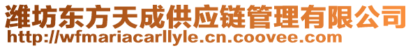 濰坊東方天成供應(yīng)鏈管理有限公司