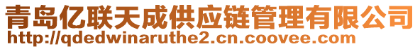 青島億聯(lián)天成供應(yīng)鏈管理有限公司