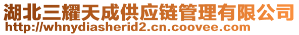 湖北三耀天成供應(yīng)鏈管理有限公司