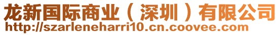 龍新國(guó)際商業(yè)（深圳）有限公司