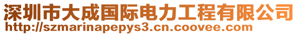 深圳市大成國際電力工程有限公司