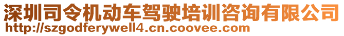 深圳司令機動車駕駛培訓(xùn)咨詢有限公司