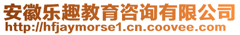 安徽樂趣教育咨詢有限公司