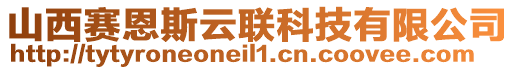 山西賽恩斯云聯(lián)科技有限公司