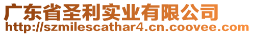 廣東省圣利實業(yè)有限公司