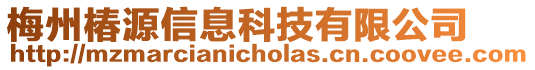 梅州椿源信息科技有限公司