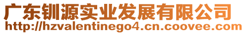 廣東釧源實(shí)業(yè)發(fā)展有限公司