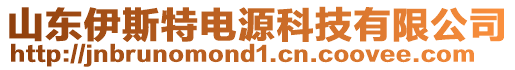 山東伊斯特電源科技有限公司