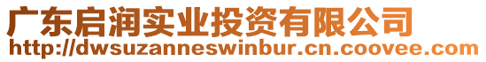 廣東啟潤(rùn)實(shí)業(yè)投資有限公司