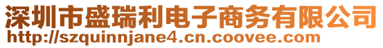 深圳市盛瑞利電子商務(wù)有限公司