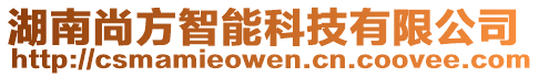 湖南尚方智能科技有限公司