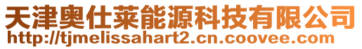 天津奧仕萊能源科技有限公司