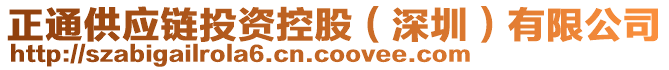 正通供應(yīng)鏈投資控股（深圳）有限公司