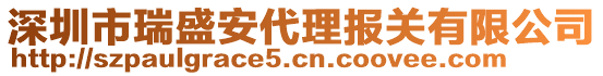 深圳市瑞盛安代理報(bào)關(guān)有限公司