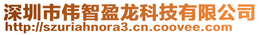 深圳市偉智盈龍科技有限公司