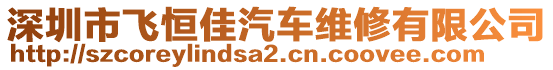 深圳市飛恒佳汽車維修有限公司