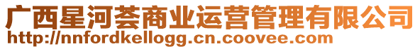 廣西星河薈商業(yè)運(yùn)營(yíng)管理有限公司