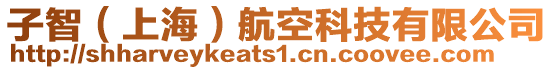 子智（上海）航空科技有限公司