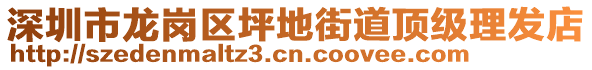 深圳市龍崗區(qū)坪地街道頂級理發(fā)店